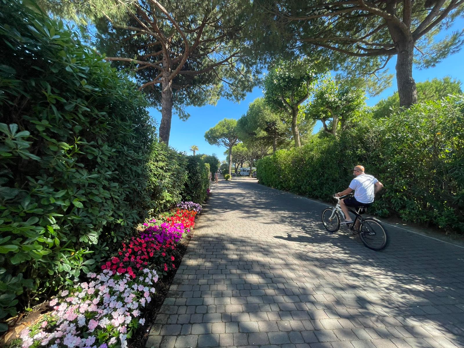 Blumenweg auf dem Campinggelände